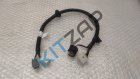 ���� �������� ������������ ��������������
